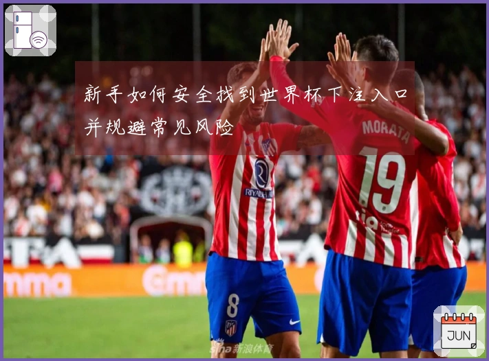 新手如何安全找到世界杯下注入口并规避常见风险