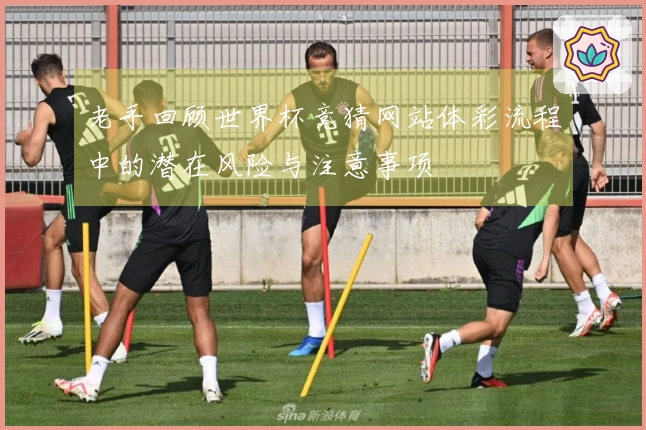 老手回顾世界杯竞猜网站体彩流程中的潜在风险与注意事项