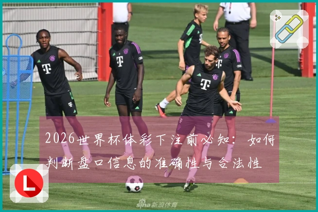 2026世界杯体彩下注前必知：如何判断盘口信息的准确性与合法性