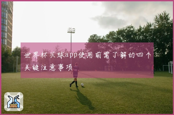 世界杯买球app使用前需了解的四个关键注意事项
