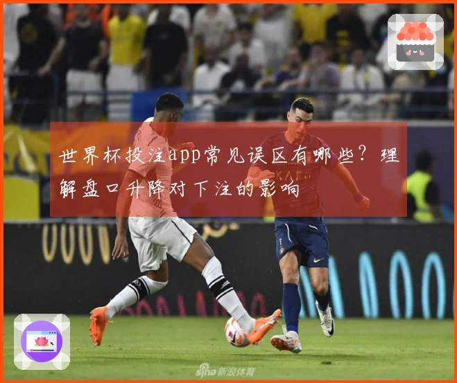 世界杯投注app常见误区有哪些？理解盘口升降对下注的影响